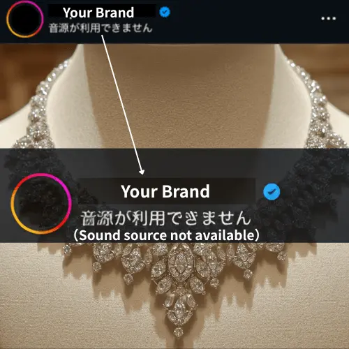 Example of 'sound source not available' error on Instagram due to copyright or licensing issues